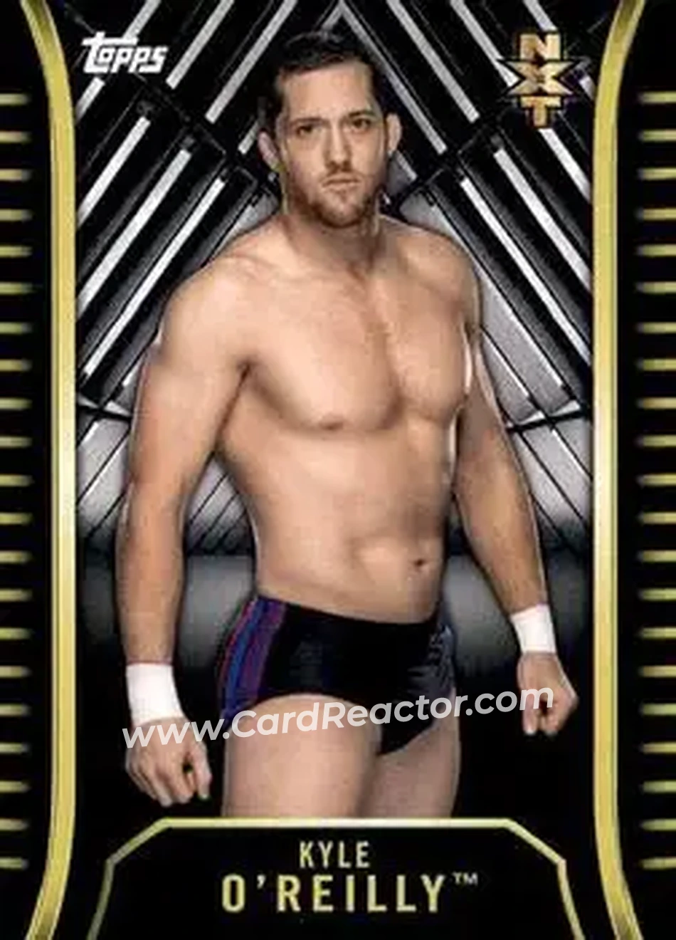2018 Topps WWE NXT #R-16 - Kyle O’Reilly