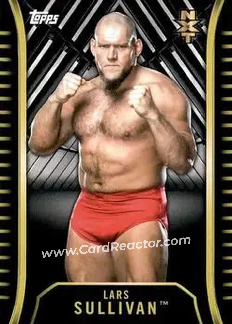 2018 Topps WWE NXT #R-17 - Lars Sullivan