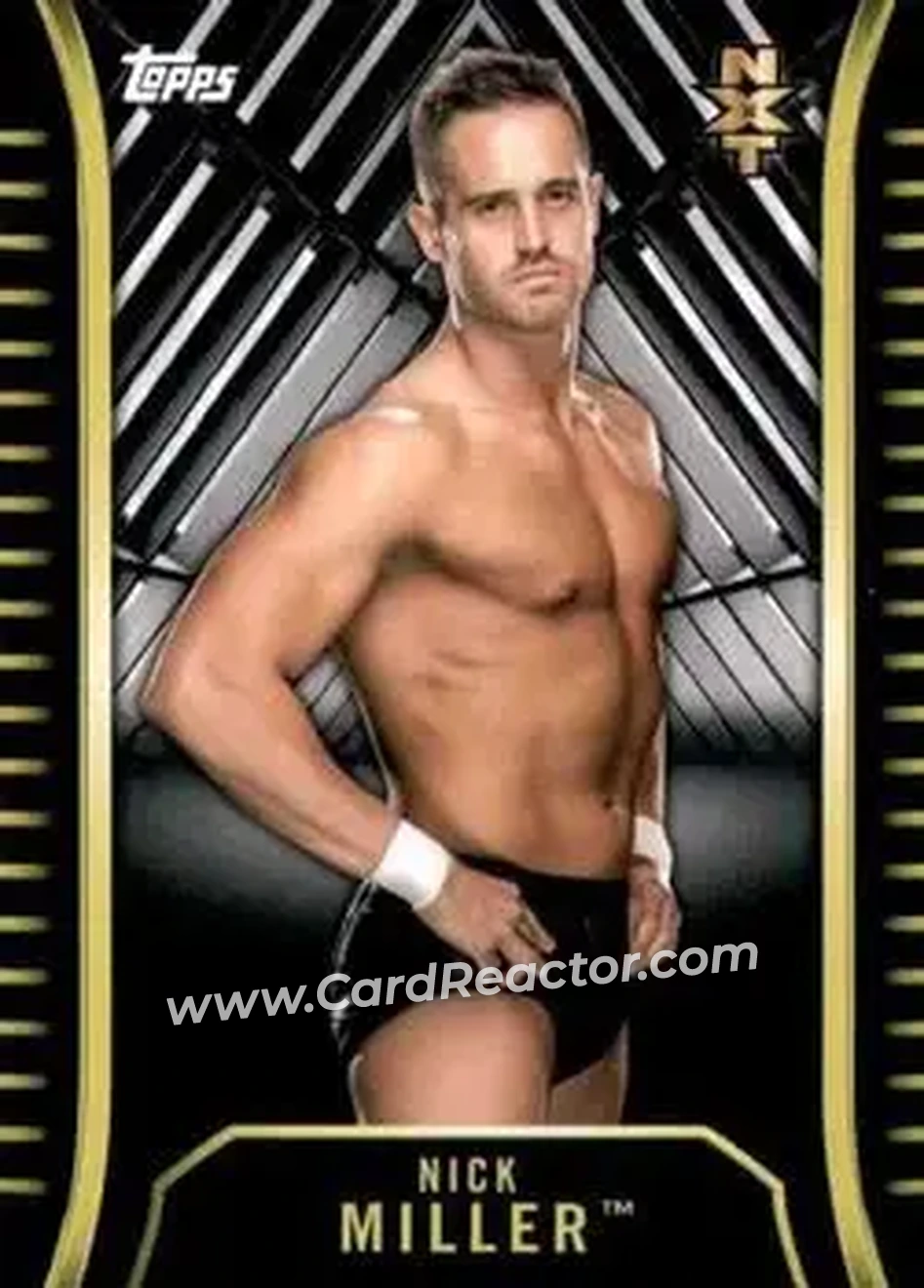 2018 Topps WWE NXT #R-20 - Nick Miller