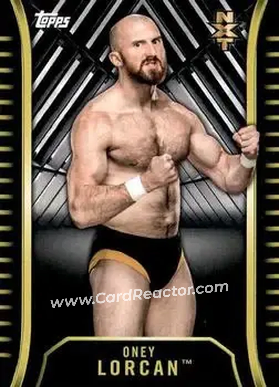 2018 Topps WWE NXT #R-22 - Oney Lorcan