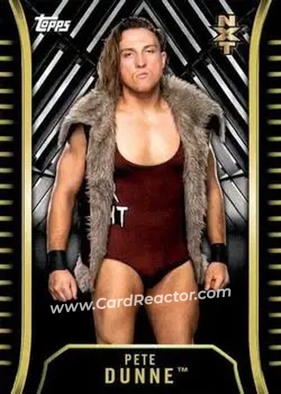 2018 Topps WWE NXT #R-25 - Pete Dunne