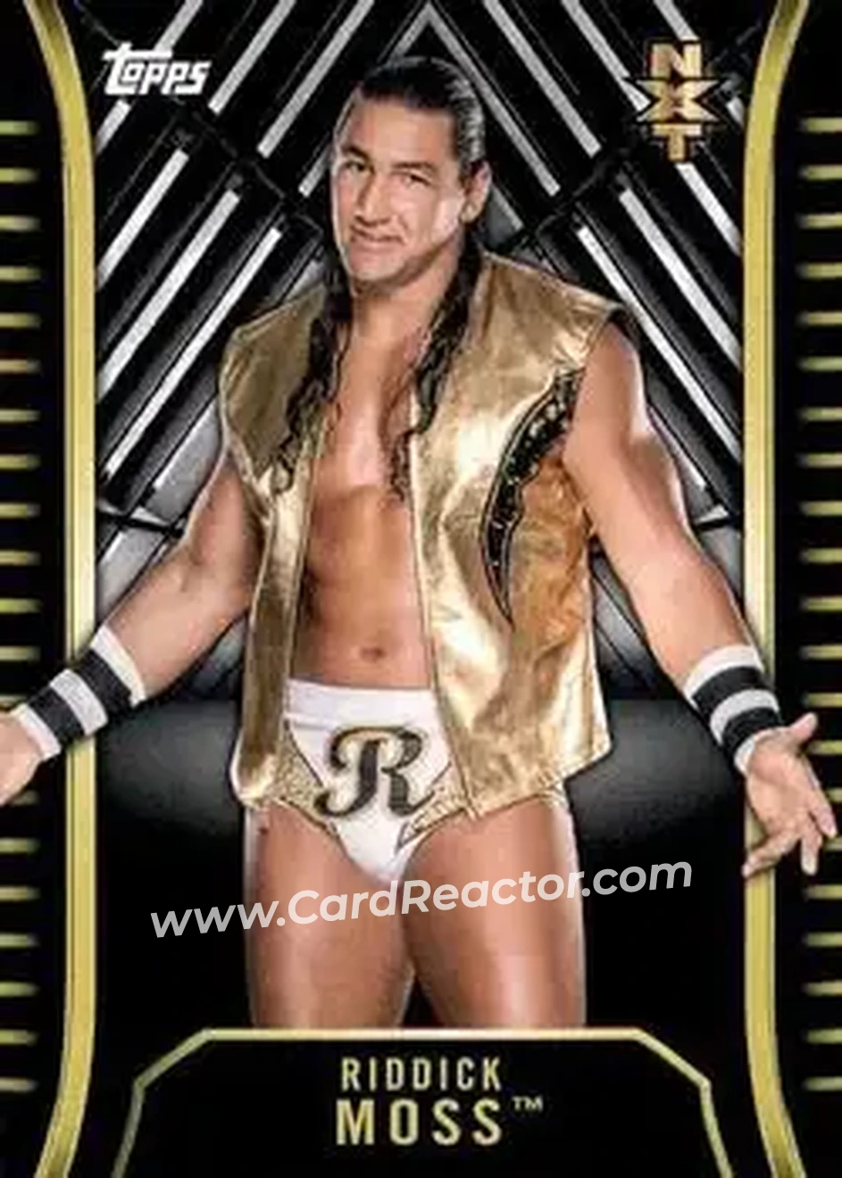 2018 Topps WWE NXT #R-27 - Riddick Moss