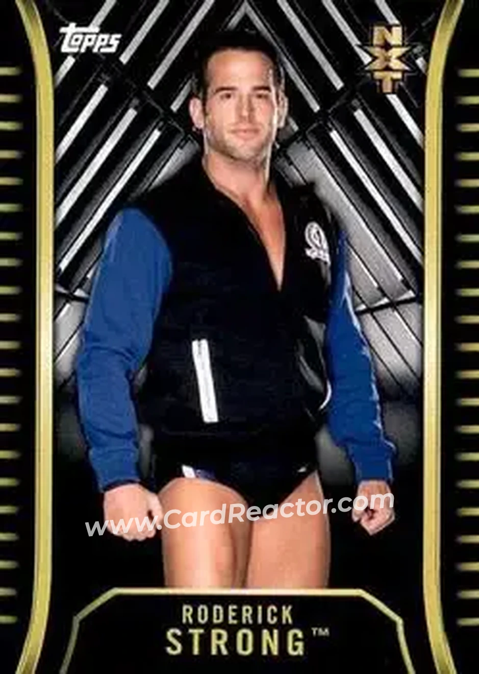 2018 Topps WWE NXT #R-28 - Roderick Strong