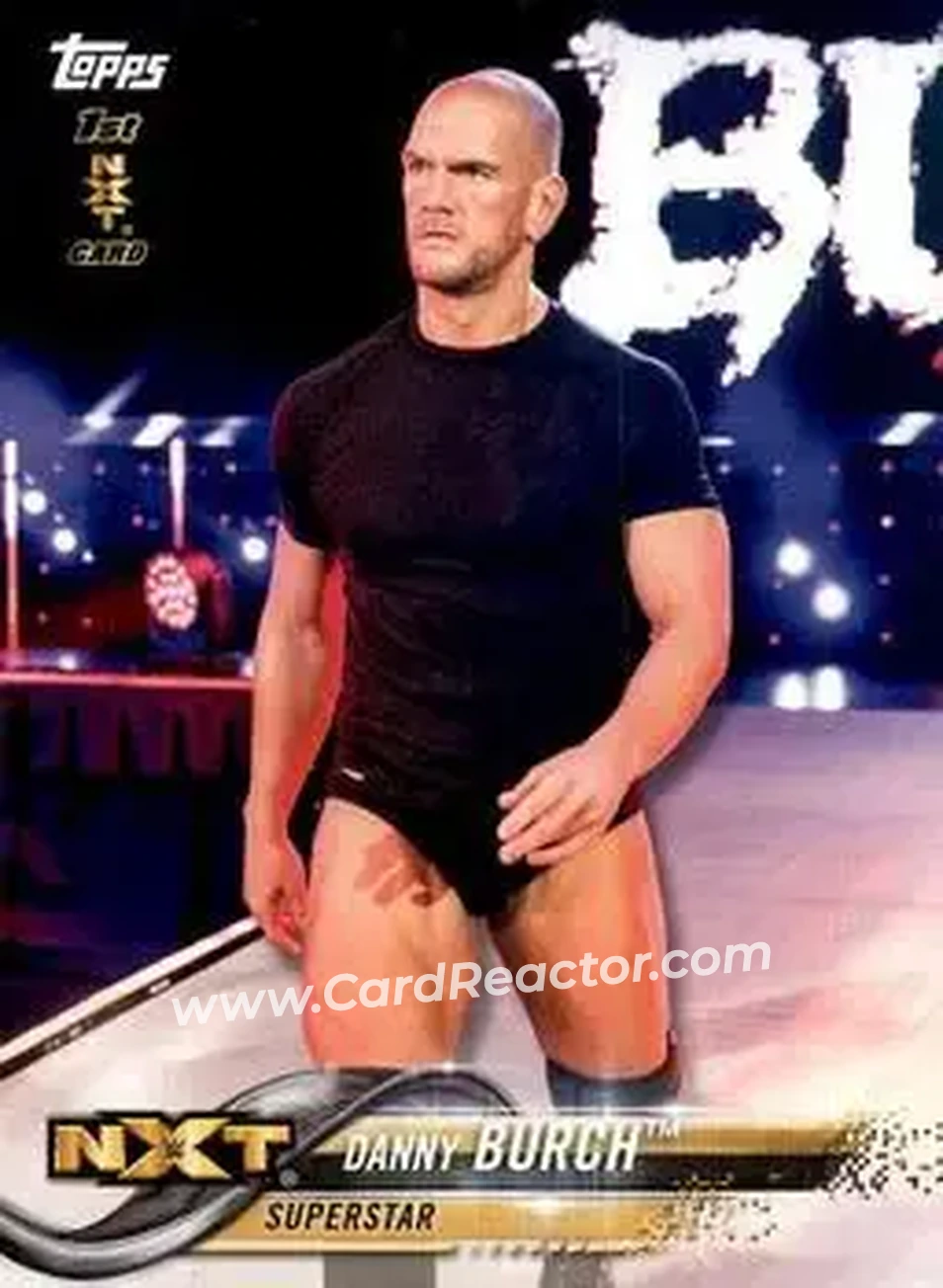 2018 Topps WWE Then Now Forever #119 - Danny Burch