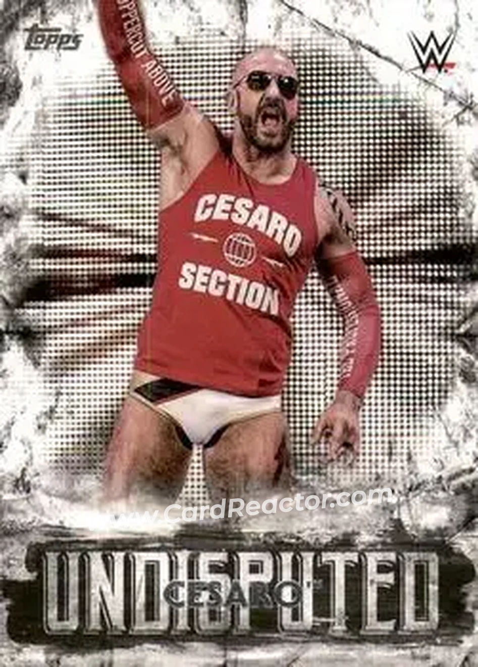 2018 Topps WWE Undisputed #13 - Claudio Castagnoli