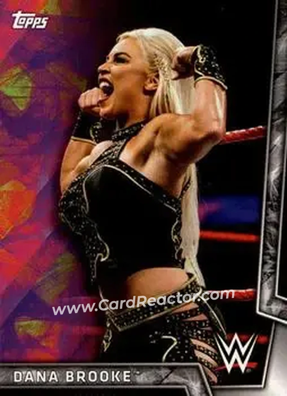 2018 Topps WWE Women's Division #11 - Dana Brooke