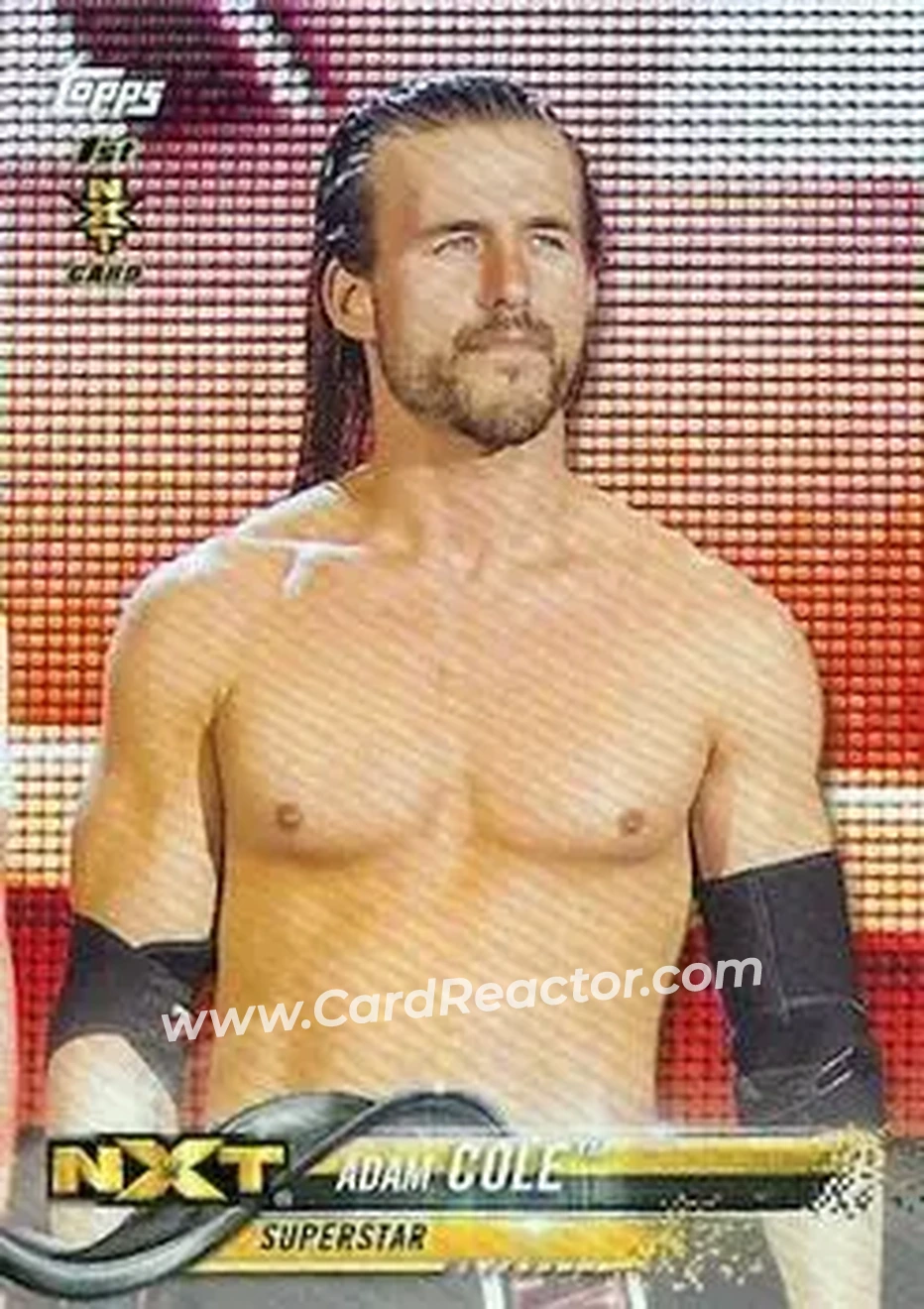 2018 Topps WWE #1b - Adam Cole