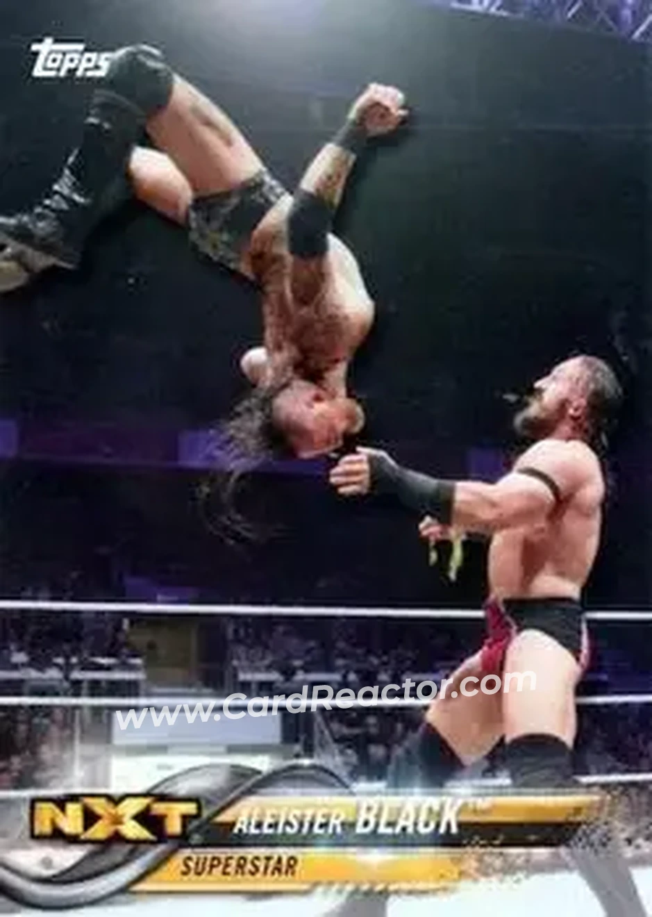 2018 Topps WWE #5b - Aleister Black
