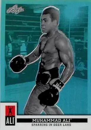 Boxing card