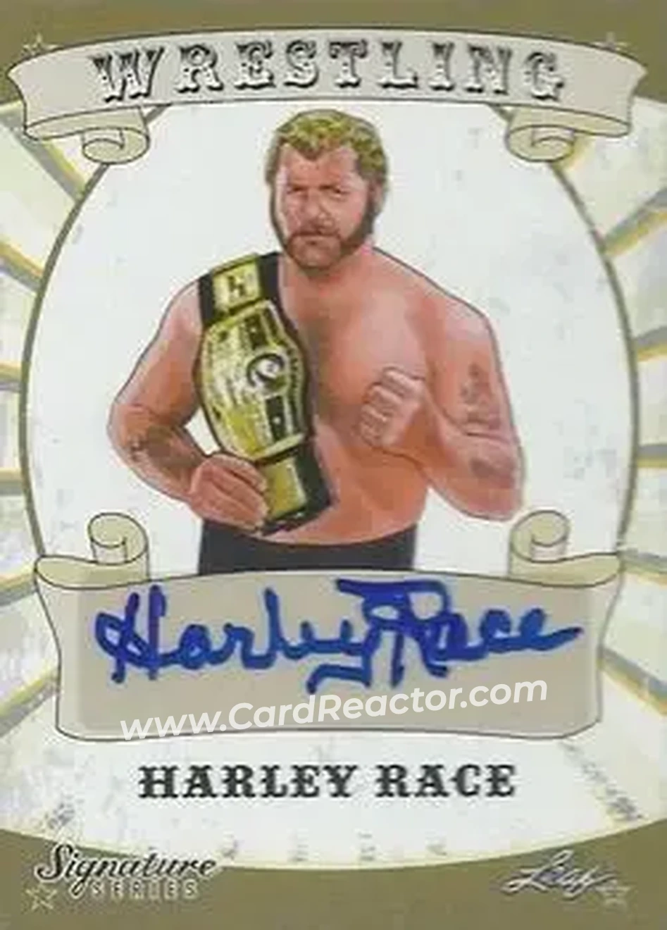 2016 Leaf Signature Series #30 - King Harley Race