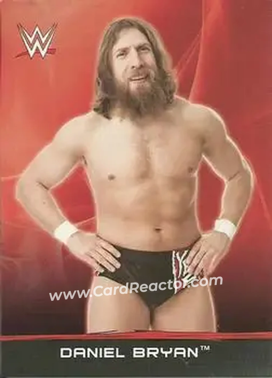 2015 Topps WWE Ringside Relic Dog Tags Inserts #9 - Bryan Danielson
