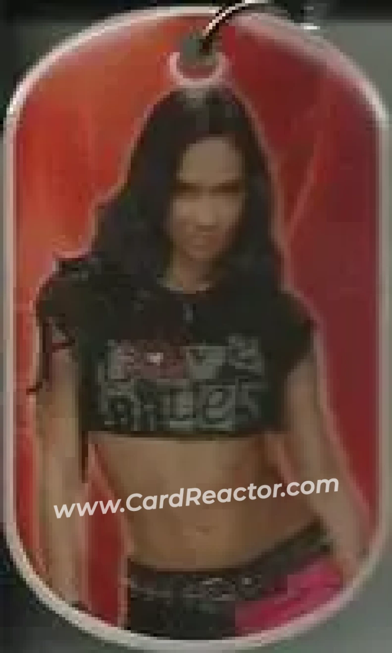2015 Topps WWE Ringside Relic Dog Tags Inserts - Dog Tags #NNO - AJ Lee