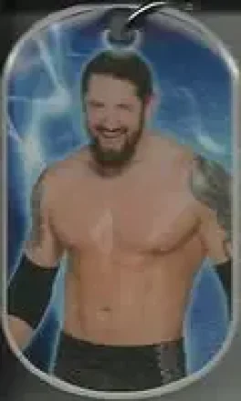 2015 Topps WWE Ringside Relic Dog Tags Inserts - Dog Tags #NNO - Bad News Barrett