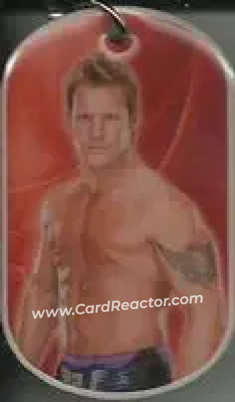 2015 Topps WWE Ringside Relic Dog Tags Inserts - Dog Tags #NNO - Chris Jericho
