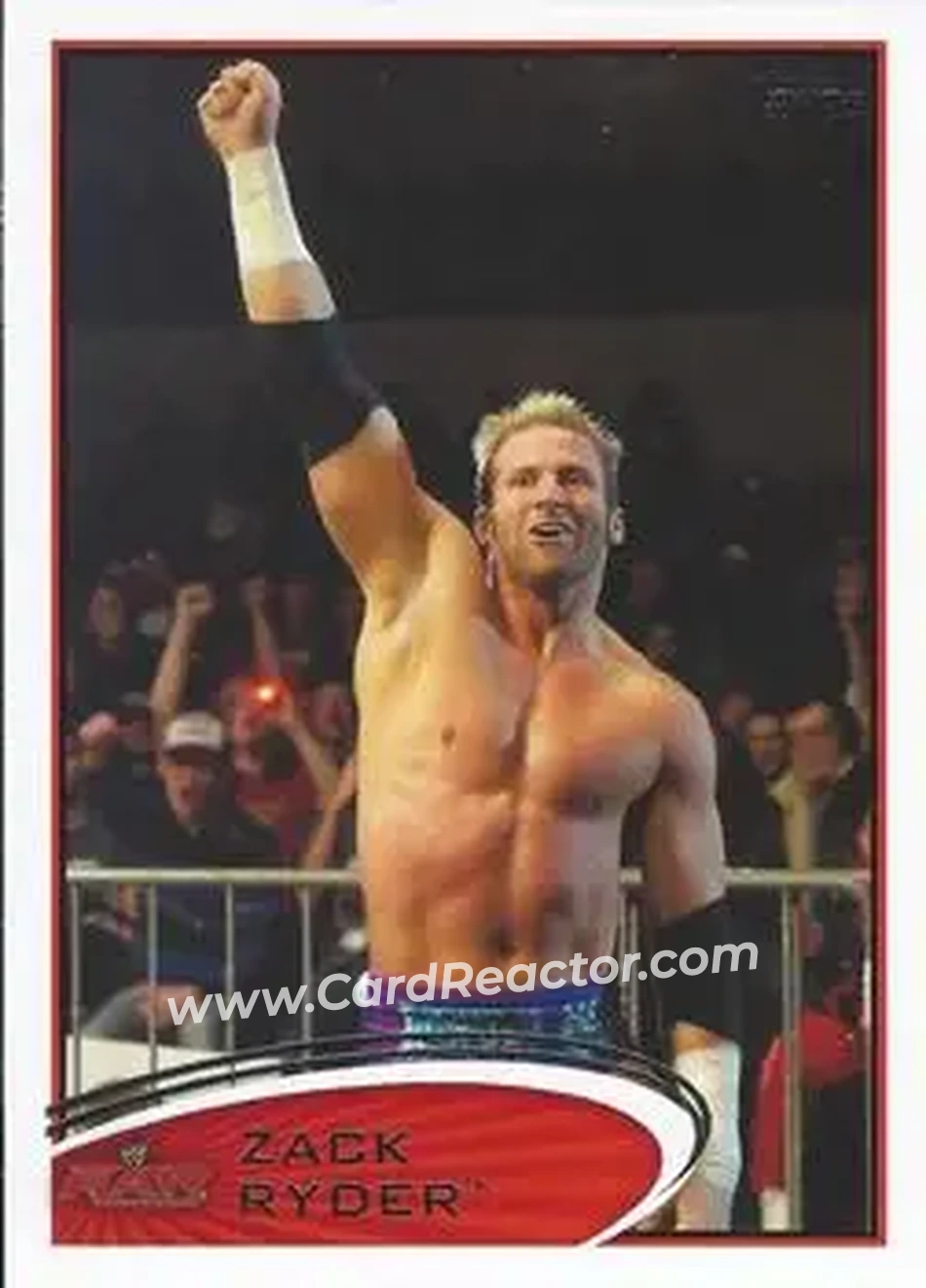 2012 Topps WWE #19 - Matt Cardona