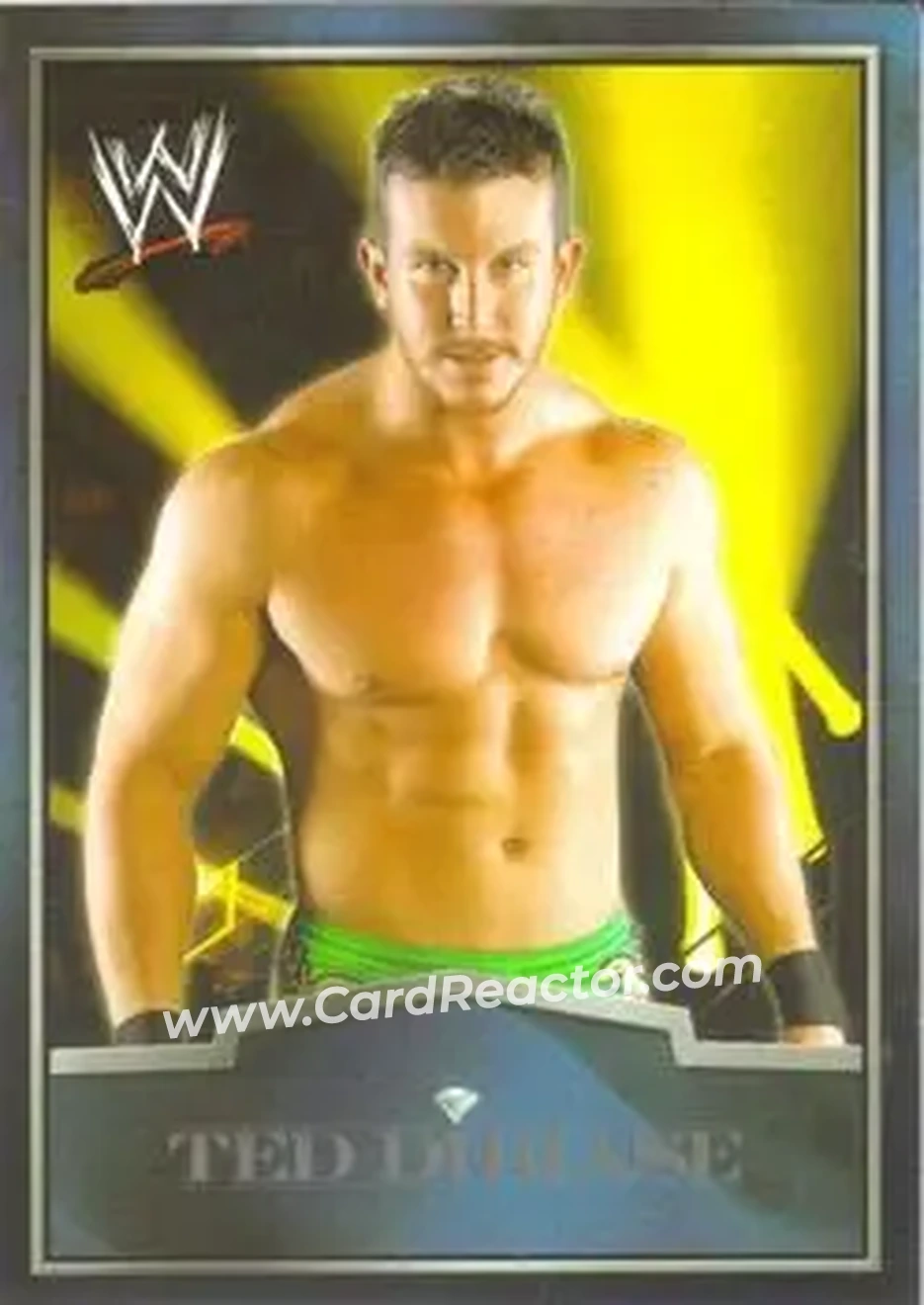 2012 Topps WWE Ringside Relic Dog Tags Inserts #2 - Ted DiBiase Jr.
