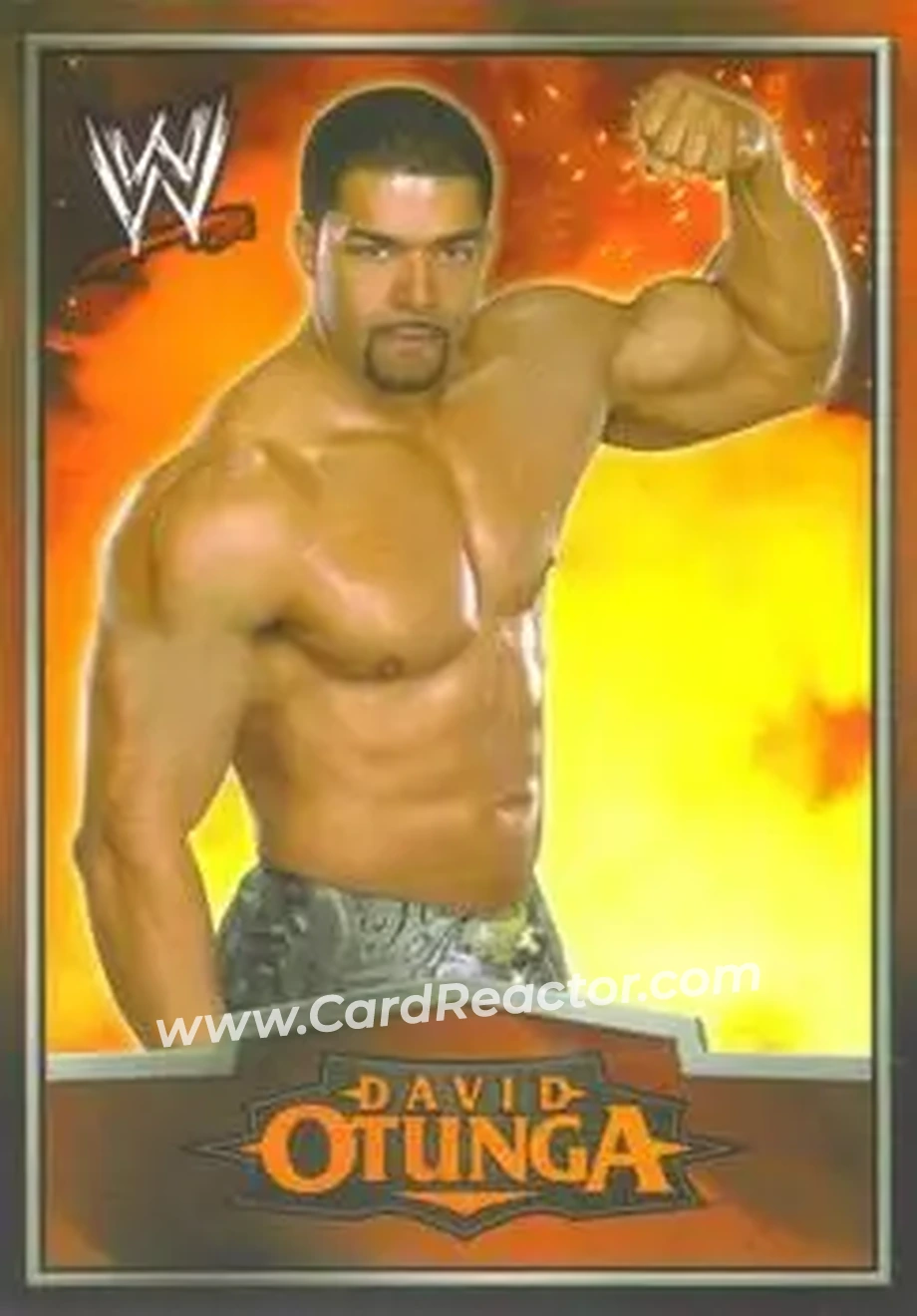 2012 Topps WWE Ringside Relic Dog Tags Inserts #4 - David Otunga