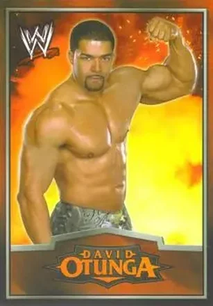 2012 Topps WWE Ringside Relic Dog Tags Inserts #4 - David Otunga