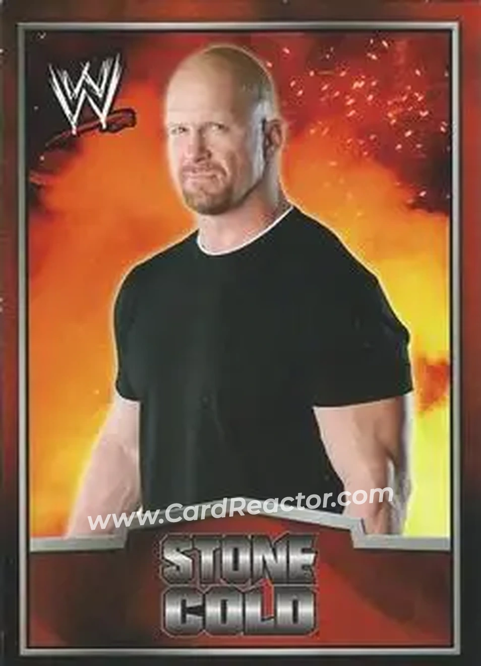 2012 Topps WWE Ringside Relic Dog Tags Inserts #22 - "Stone Cold" Steve Austin