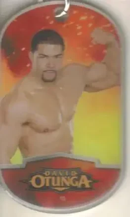 2012 Topps WWE Ringside Relic Dog Tags Inserts - Dog Tags #4 - David Otunga