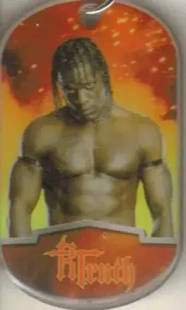 2012 Topps WWE Ringside Relic Dog Tags Inserts - Dog Tags #7 - R-Truth
