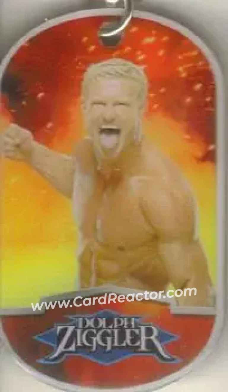 2012 Topps WWE Ringside Relic Dog Tags Inserts - Dog Tags #15 - Dolph Ziggler