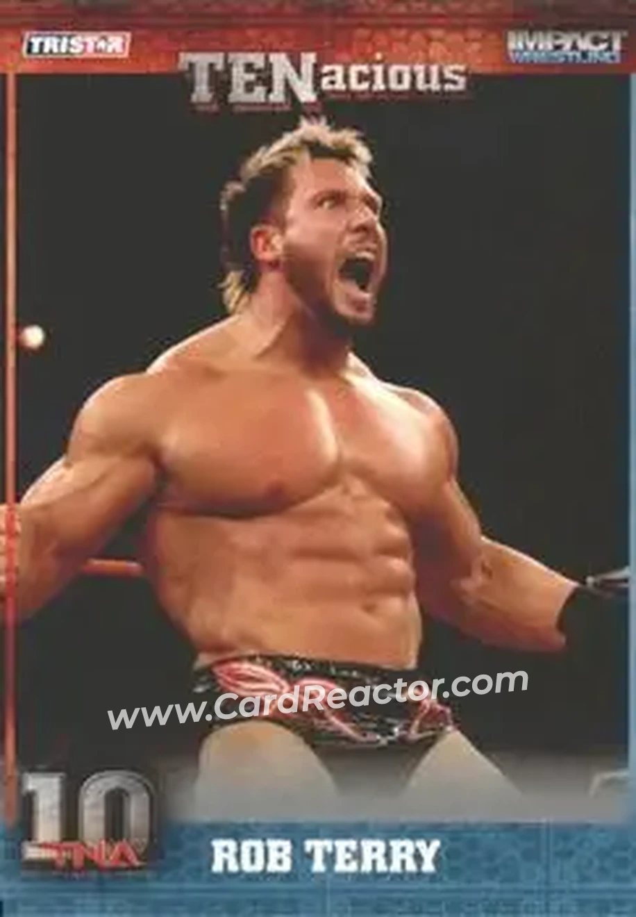 2012 TriStar Impact TNA TENacious #29 - Rob Terry