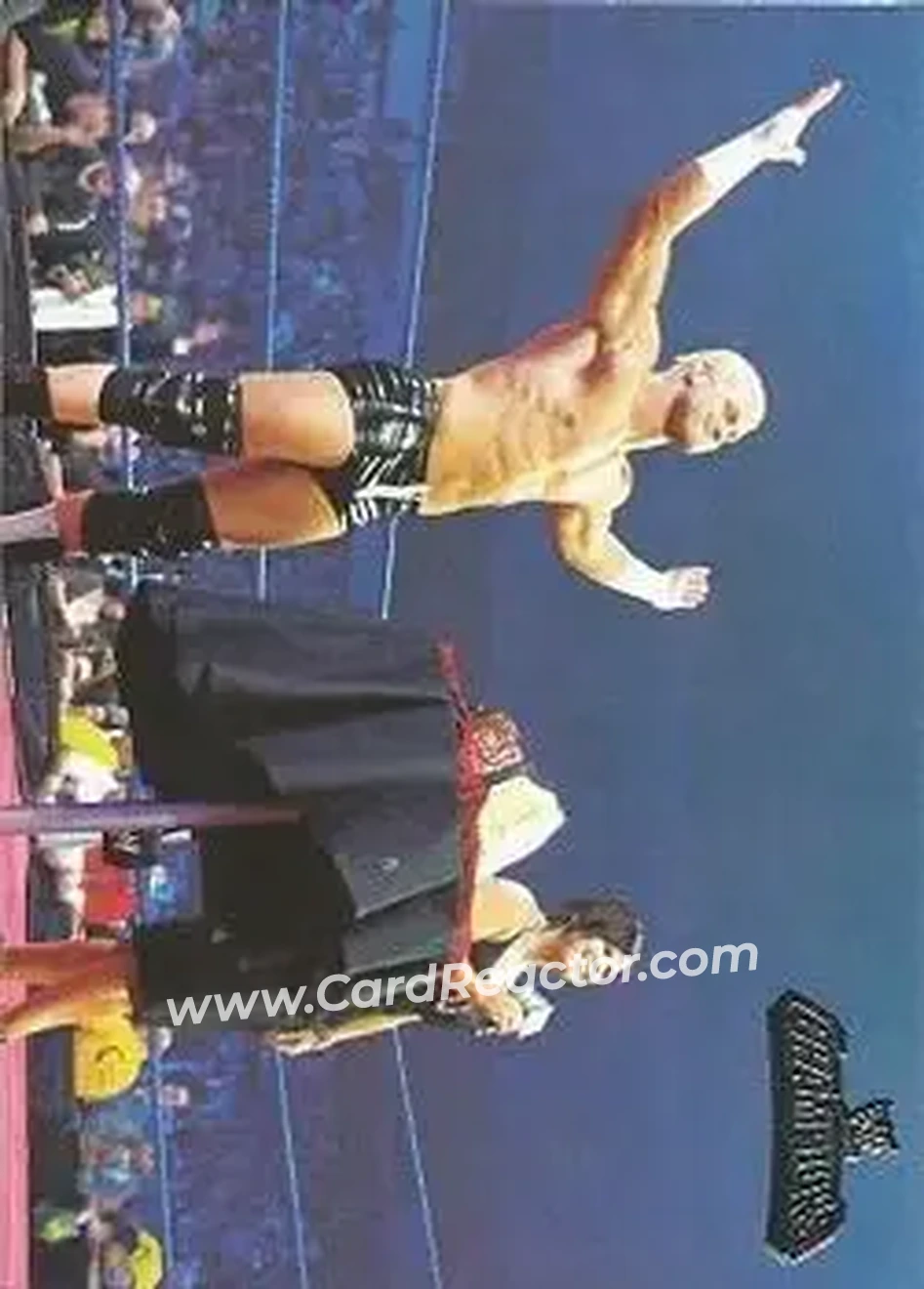 2011 Topps WWE Champions #15 - Dolph Ziggler