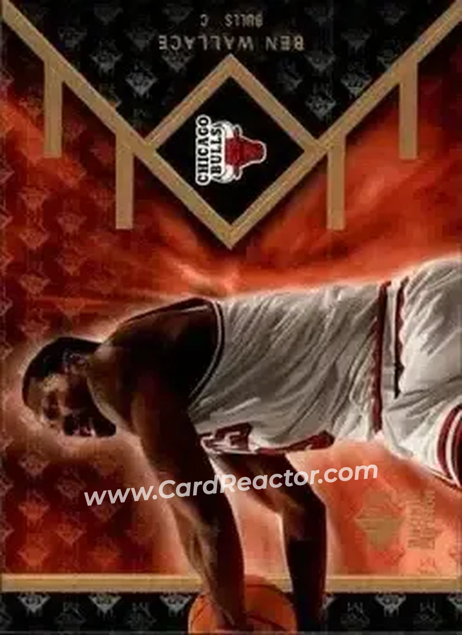 2007-08 SP Rookie Edition #8 - Ben Wallace - Chicago Bulls