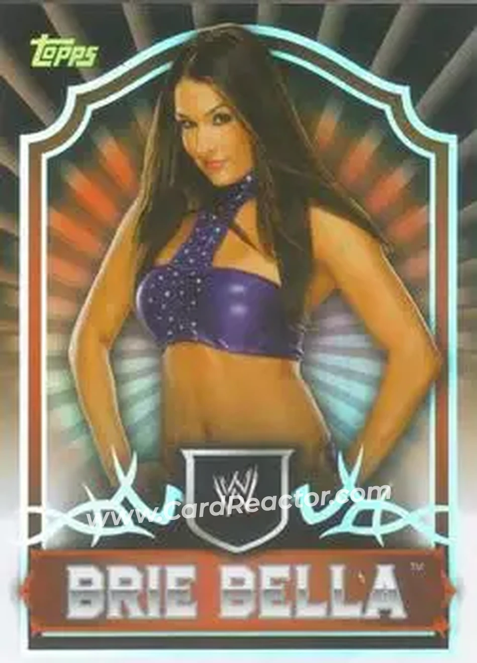 2011 Topps WWE Classic #9 - Brie Bella