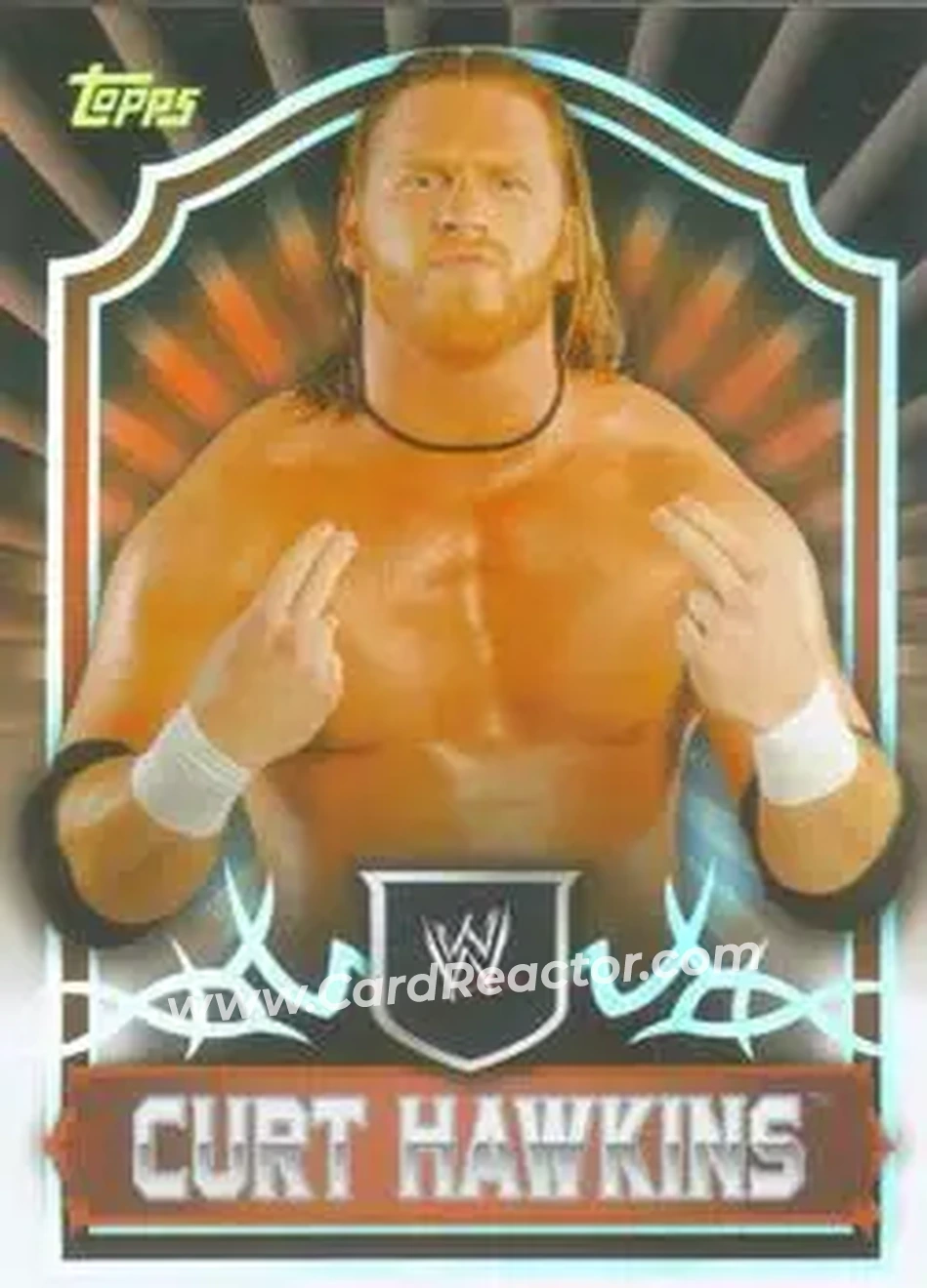 2011 Topps WWE Classic #14 - Brian Myers