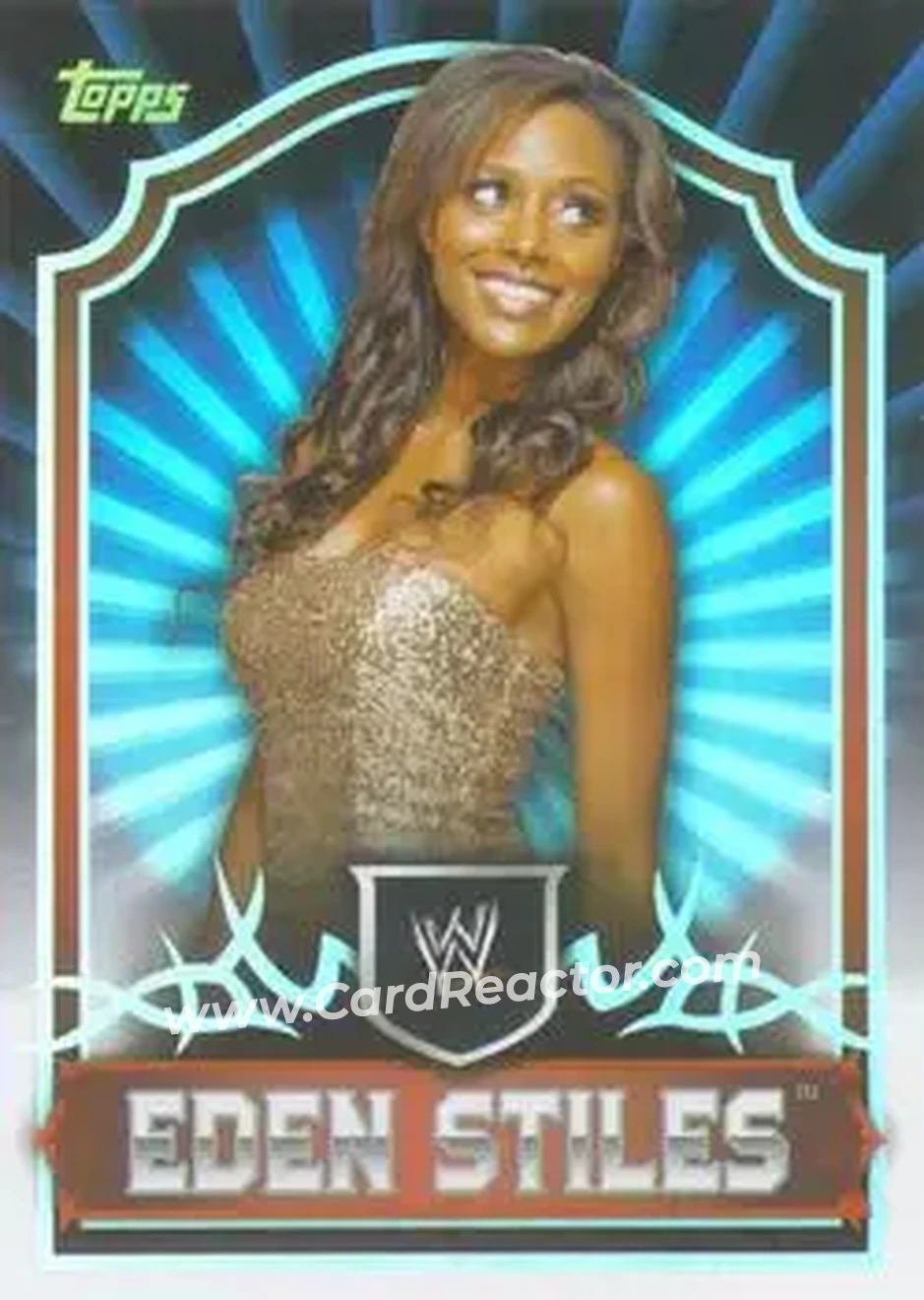 2011 Topps WWE Classic #19 - Brandi Rhodes