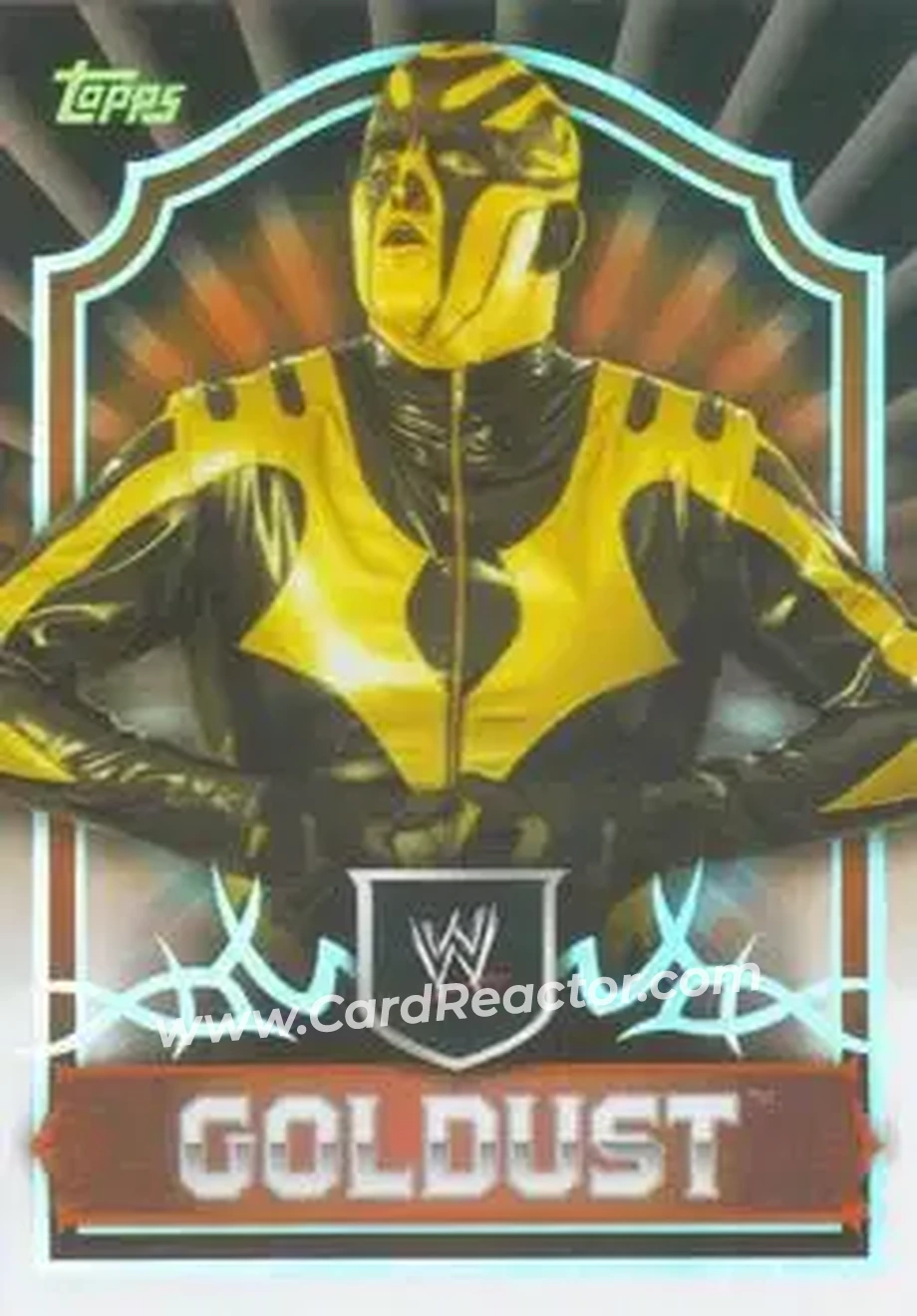 2011 Topps WWE Classic #24 - Dustin Rhodes