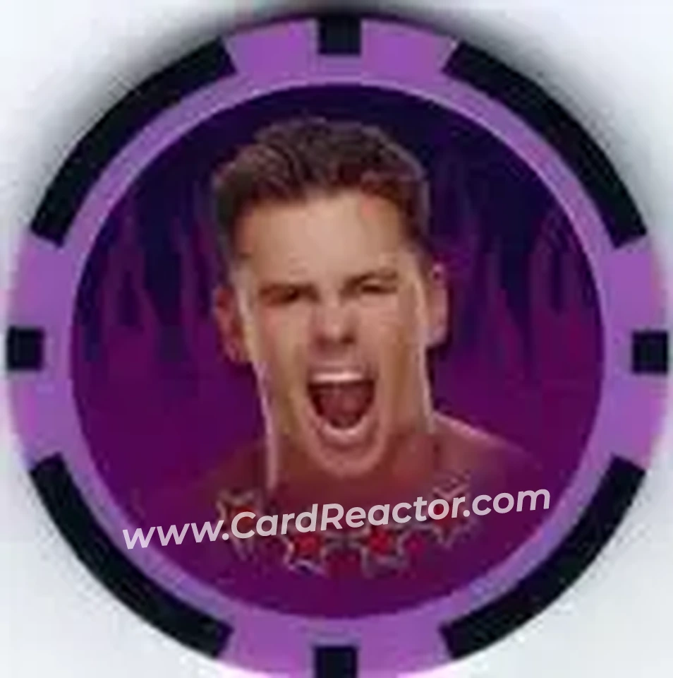 2011 Topps WWE Power Chipz #33 - Alex Riley