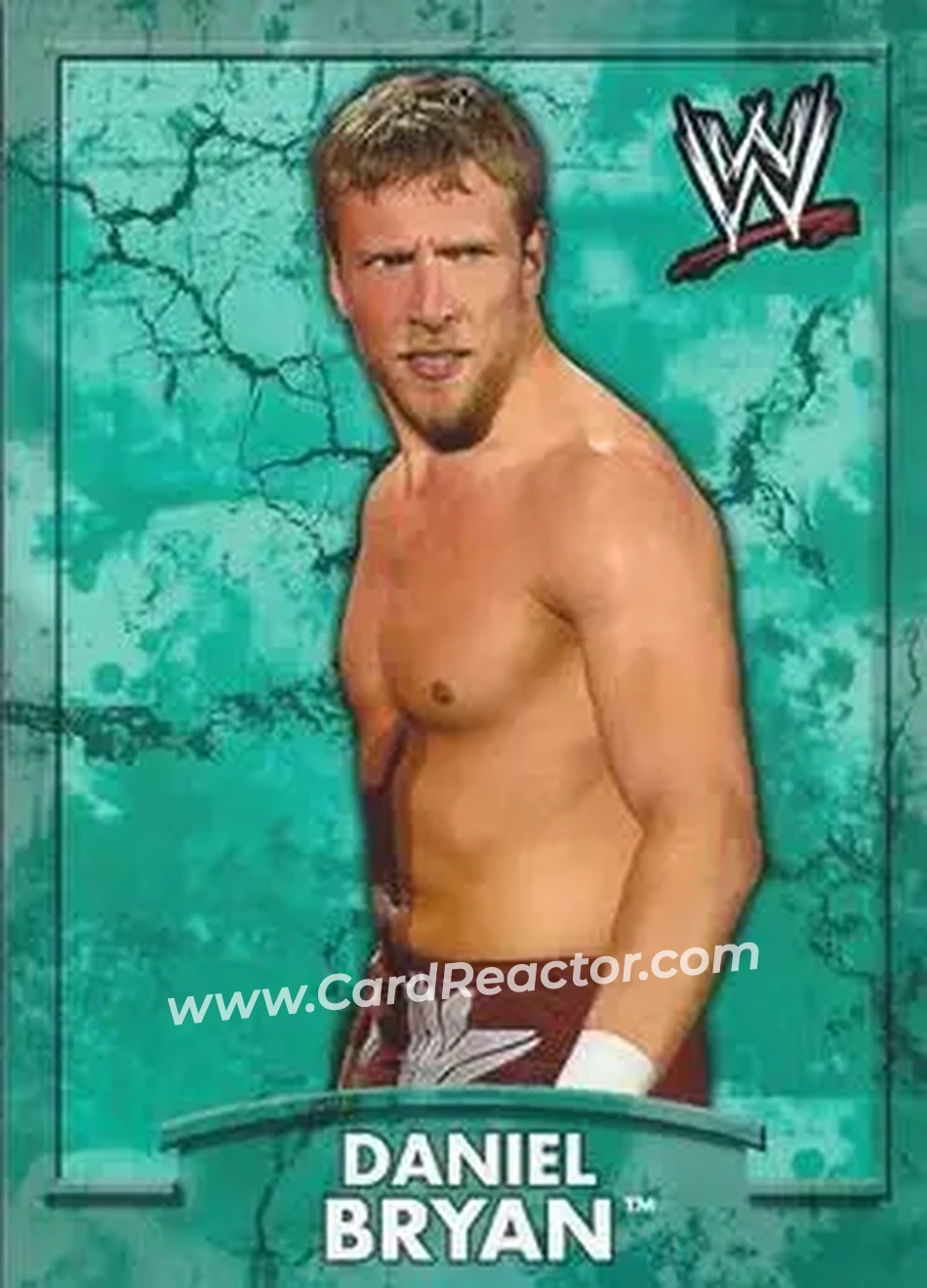 2011 Topps WWE Ringside Relic Dog Tags Inserts #2 - Bryan Danielson