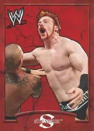 2011 Topps WWE Ringside Relic Dog Tags Inserts #9 - Sheamus