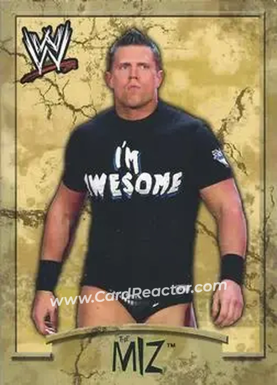 2011 Topps WWE Ringside Relic Dog Tags Inserts #10 - The Miz