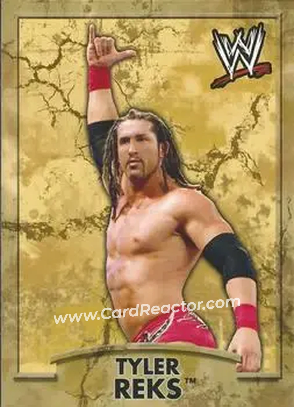 2011 Topps WWE Ringside Relic Dog Tags Inserts #19 - Tyler Reks