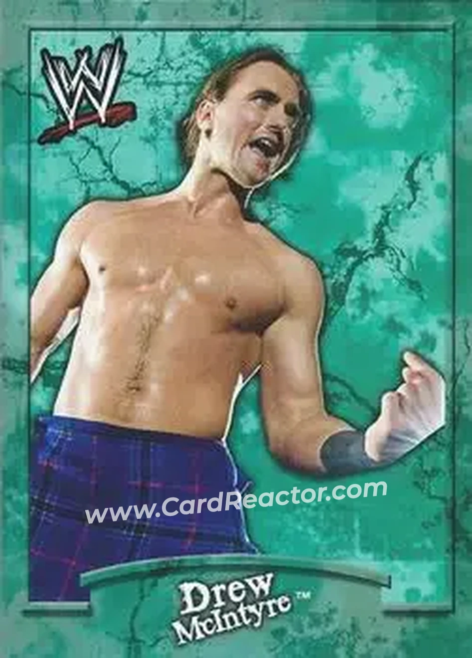 2011 Topps WWE Ringside Relic Dog Tags Inserts #20 - Drew McIntyre