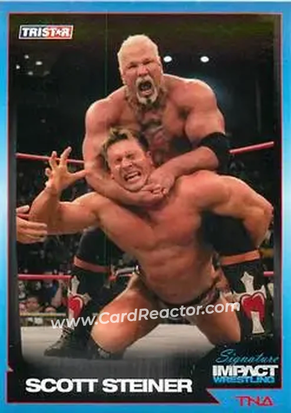 2011 TriStar Signature Impact #5 - Scott Steiner
