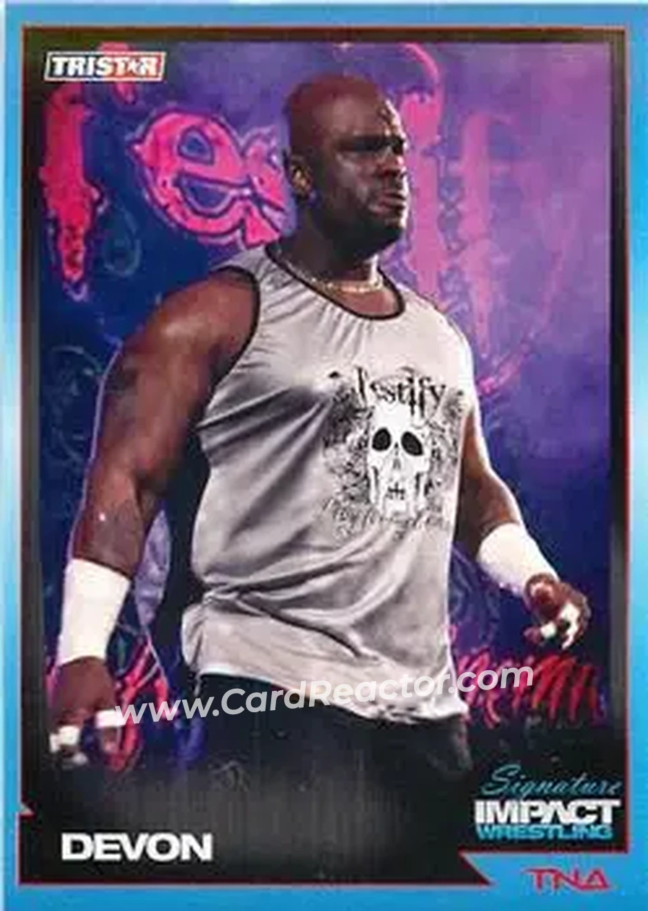 2011 TriStar Signature Impact #19 - D-Von Dudley
