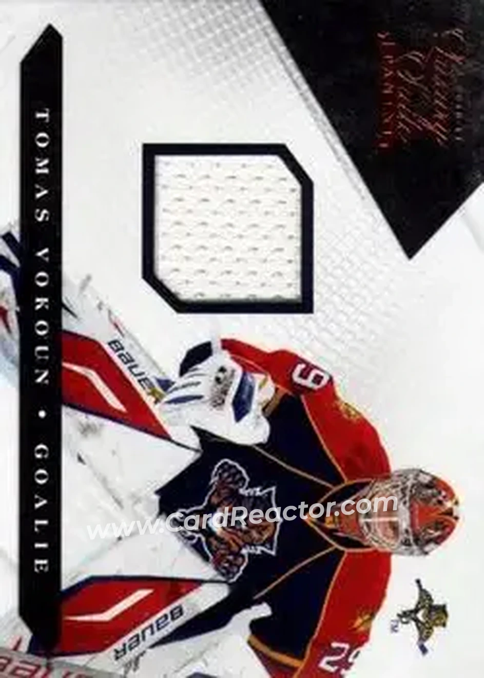2010-11 Panini Luxury Suite #29 - Tomas Vokoun - Florida Panthers - Front