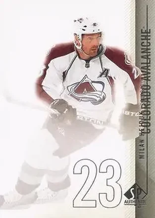 2010-11 SP Authentic #8 - Milan Hejduk - Colorado Avalanche