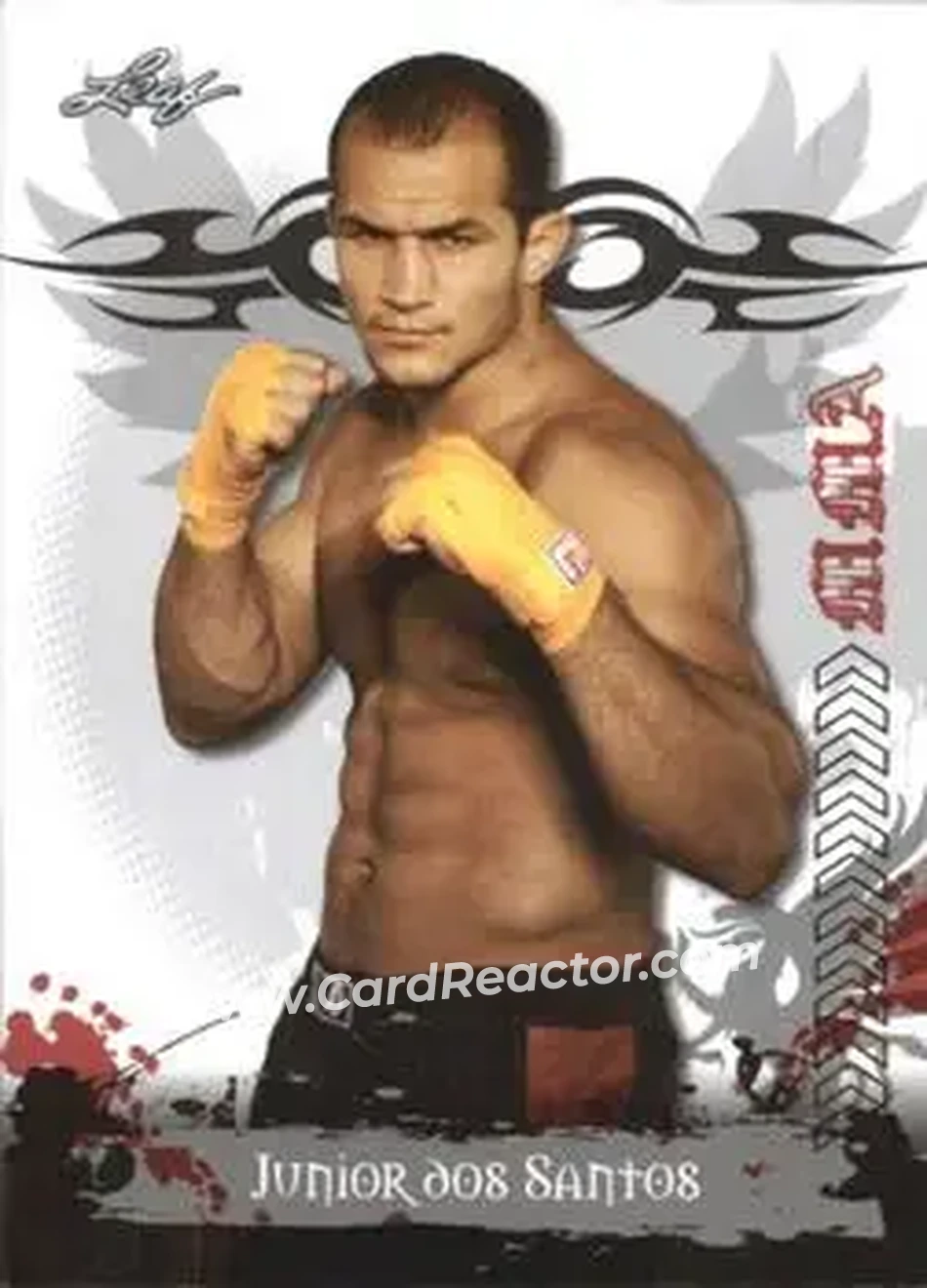 2010 Leaf MMA #2 - Junior Dos Santos - Front
