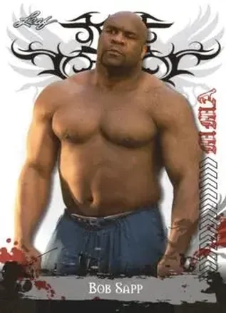 2010 Leaf MMA feature card