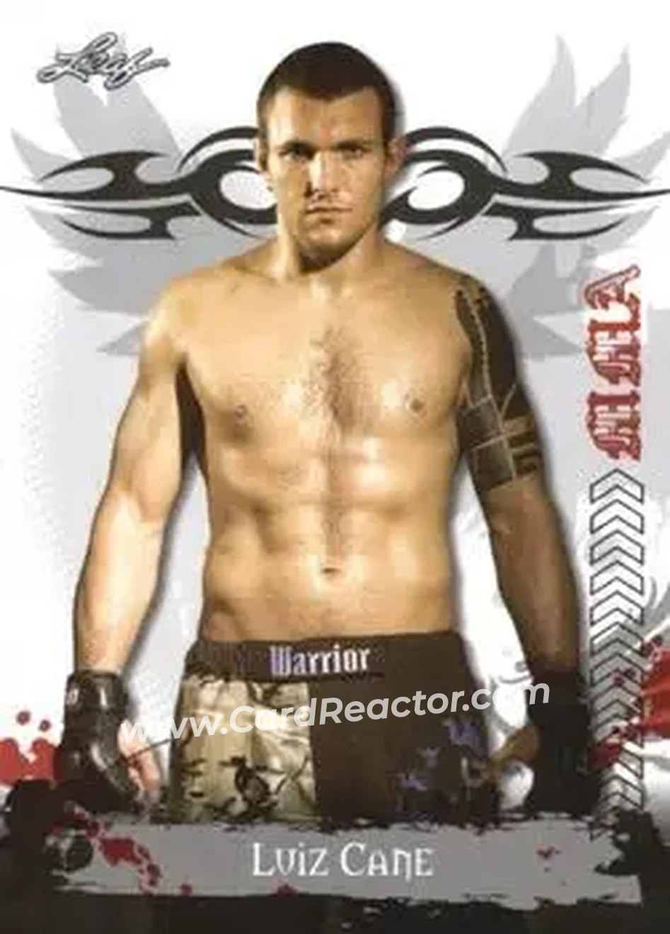 2010 Leaf MMA #29 - Luiz Cane - Front