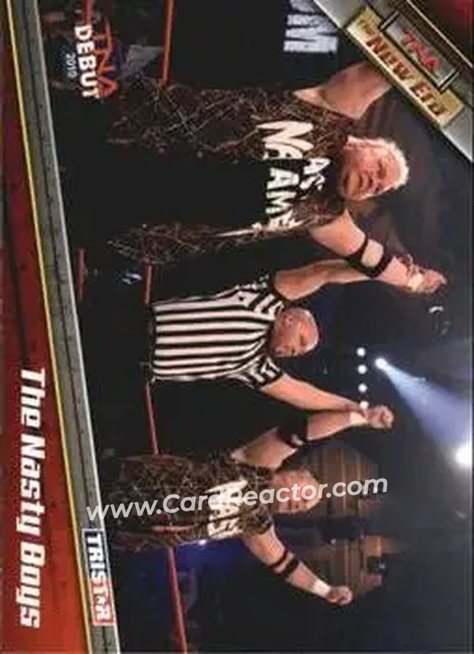2010 TriStar TNA New Era #17 - The Nasty Boys