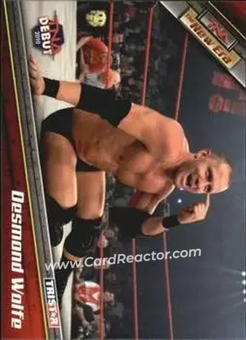 2010 TriStar TNA New Era #20 - Nigel McGuinness