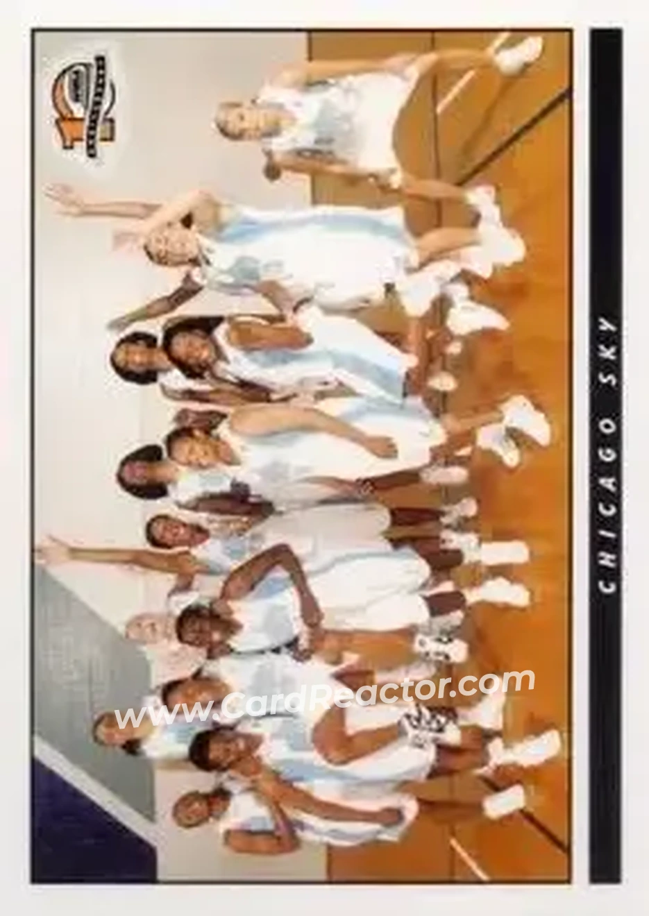 2006 Rittenhouse WNBA #6 - Dave Cowens - Chicago Sky