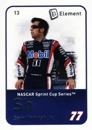 2009 Wheels Element #13 - Sam Hornish Jr. - Penske Racing South
